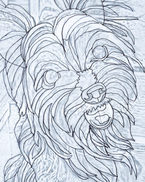 A detailed pencil outline drawing of Spyger